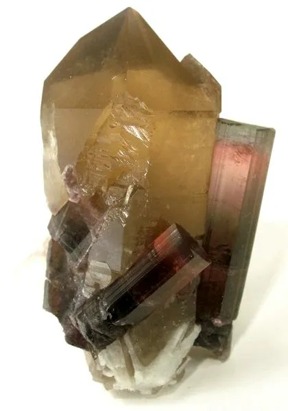 Elbaite, Quartz (Var: Smoky Quartz), Albite (Var: Cleavelandite) image