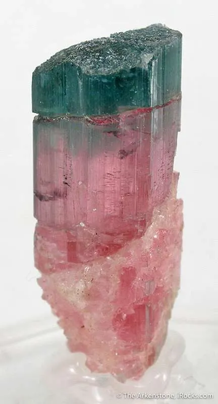 Elbaite (Rare Blue Cap!) - image 2