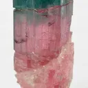 Elbaite (Rare Blue Cap!) - image 2