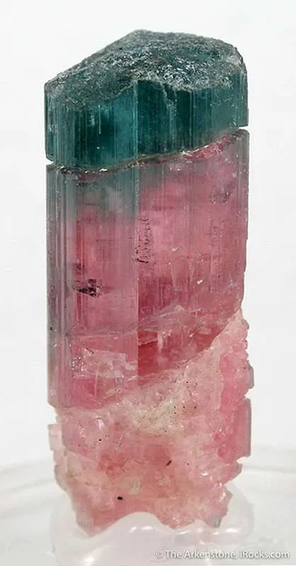 Elbaite (Rare Blue Cap!) image