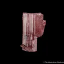 Elbaite (set of 2) - image 2
