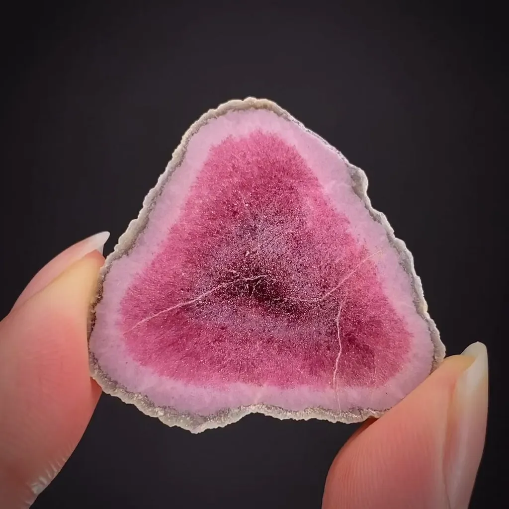 Elbaite slice through a mushroom cap image