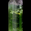 Elbaite Tourmaline - image 2