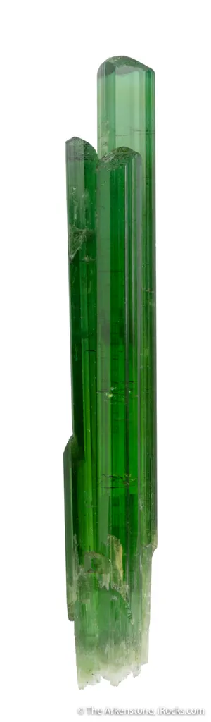 Elbaite Tourmaline - image 6