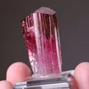 Elbaite Tourmaline - image 2