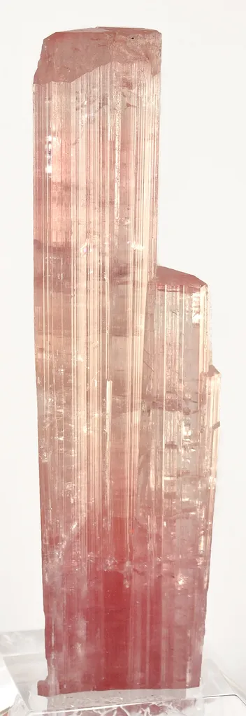 Elbaite Tourmaline image