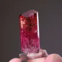 Elbaite Tourmaline - image 2