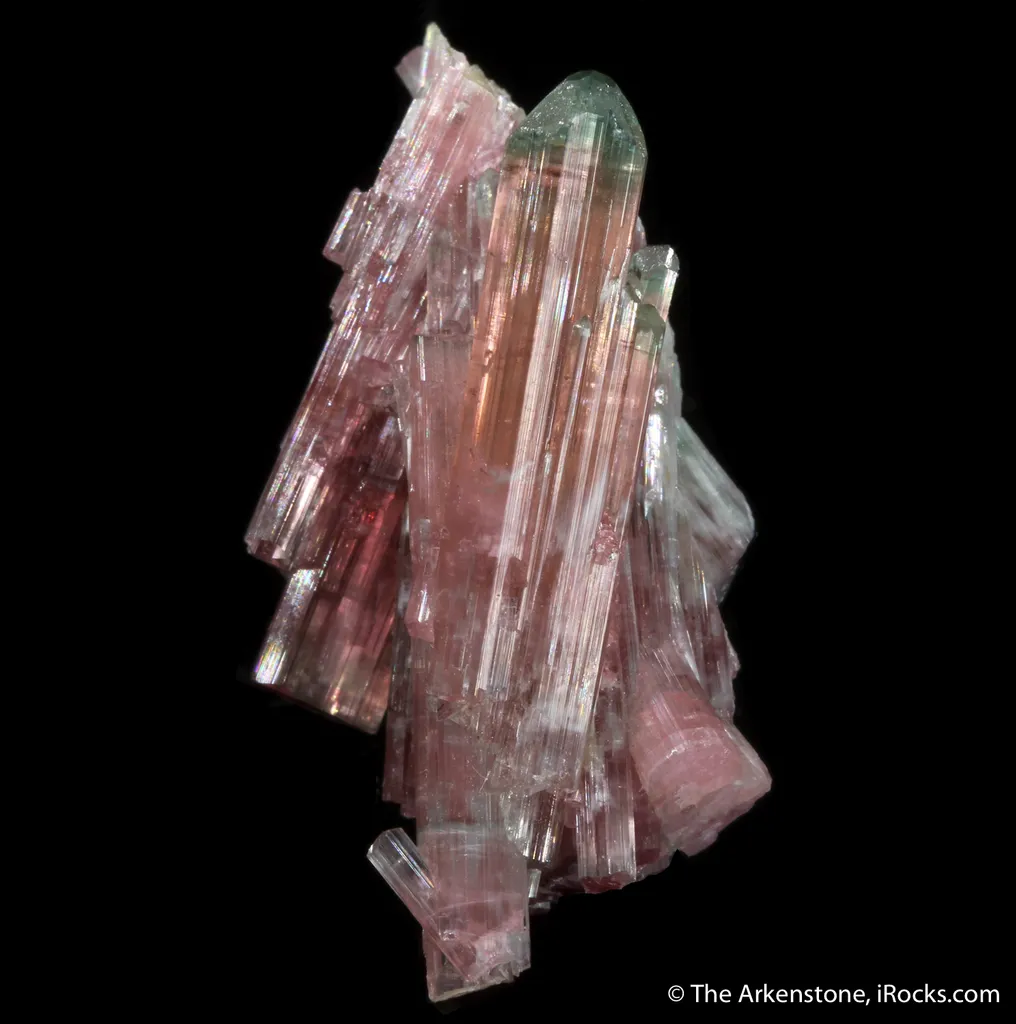 Elbaite Tourmaline (1967 pocket!) - illustrated - image 3