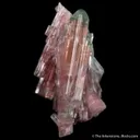 Elbaite Tourmaline (1967 pocket!) - illustrated - image 3