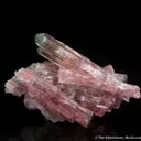 Elbaite Tourmaline (1967 pocket!) - illustrated - image 2