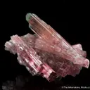 Elbaite Tourmaline (1967 pocket!) - illustrated - image 1