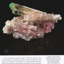 Elbaite Tourmaline (1967 pocket!) - illustrated - image 5