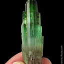 Elbaite Tourmaline - image 5