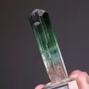 Elbaite Tourmaline - image 2
