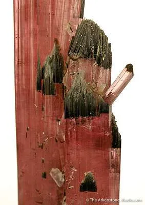 Elbaite Tourmaline - image 3
