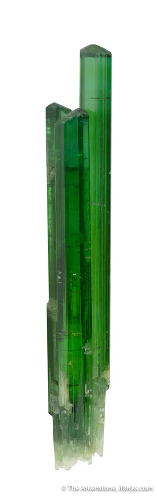 Elbaite Tourmaline image