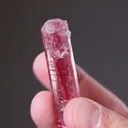 Elbaite Tourmaline - image 2