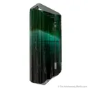 Elbaite Tourmaline - image 4