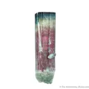 Elbaite Tourmaline - image 3
