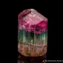 Elbaite Tourmaline - image 7