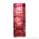 Elbaite Tourmaline - image 1