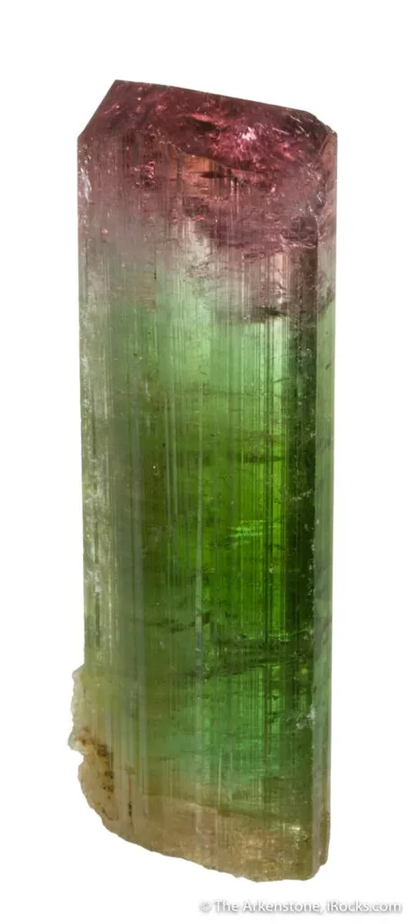 Elbaite Tourmaline image