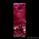 Elbaite Tourmaline - image 5