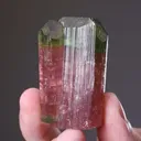 Elbaite Tourmaline - image 2