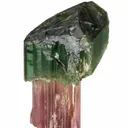 Elbaite Tourmaline - image 3