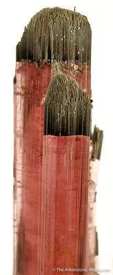 Elbaite Tourmaline - image 2