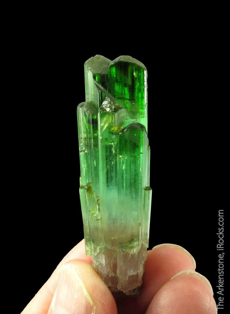 Elbaite Tourmaline image