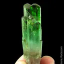 Elbaite Tourmaline - image 1
