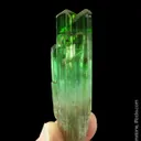 Elbaite Tourmaline - image 4