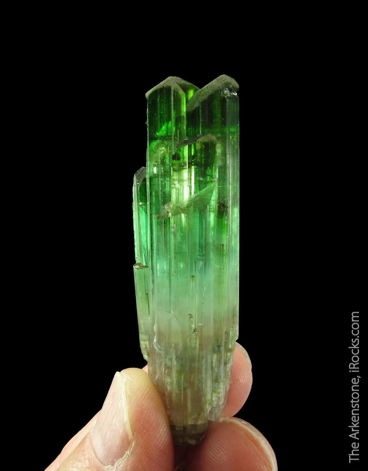Elbaite Tourmaline - image 4