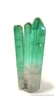 Elbaite Tourmaline - image 2