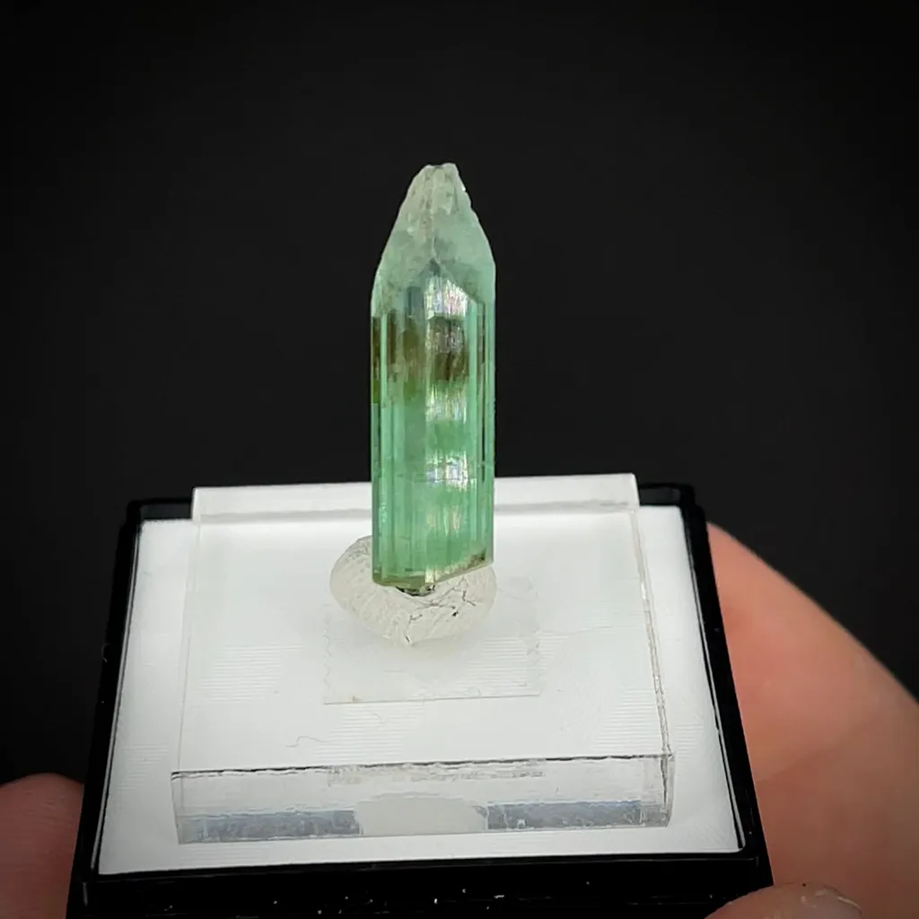 Elbaite Tourmaline image