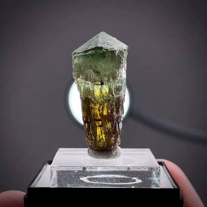 Elbaite Tourmaline image