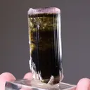 Elbaite Tourmaline - image 2