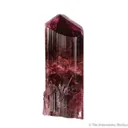 Elbaite Tourmaline - image 1