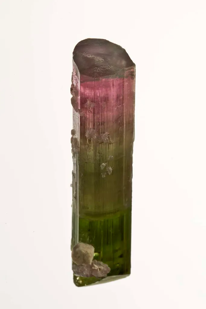 Elbaite Tourmaline - image 4