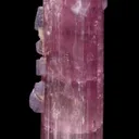 Elbaite Tourmaline - image 4