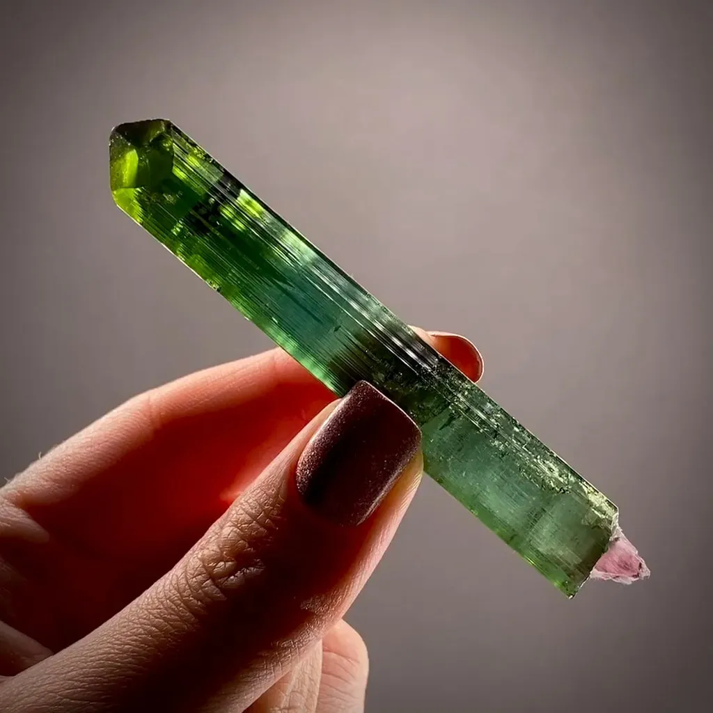 Elbaite Tourmaline image