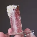 Elbaite Tourmaline - image 2