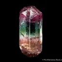 Elbaite Tourmaline - image 5