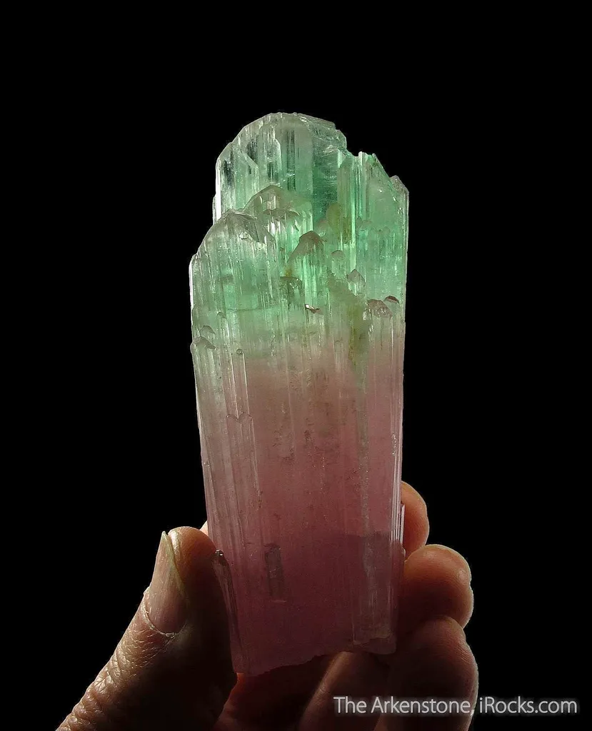 Elbaite Tourmaline image