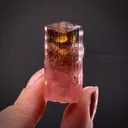 Elbaite Tourmaline - image 1