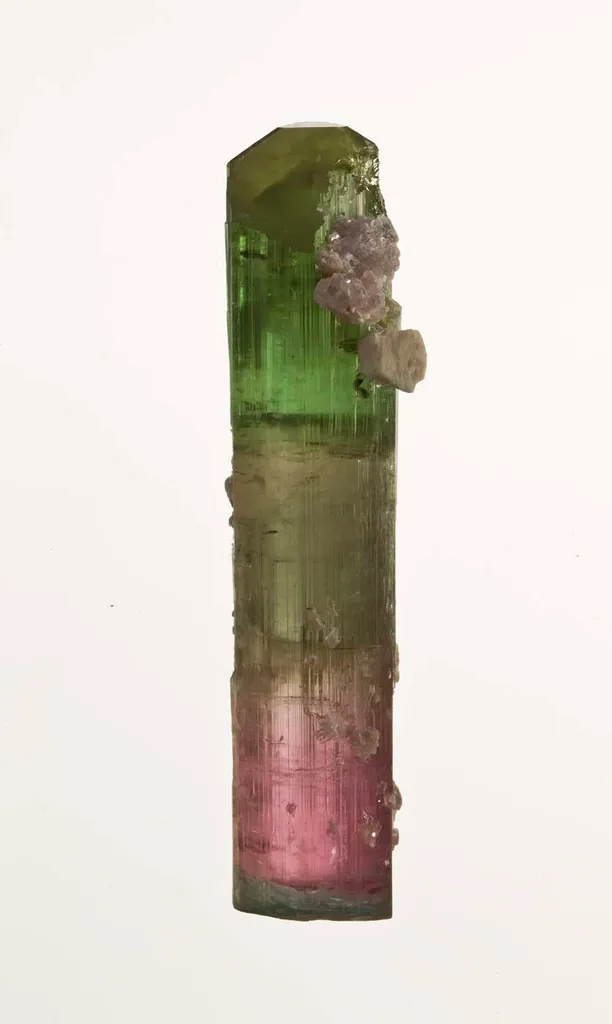 Elbaite Tourmaline image