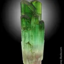 Elbaite Tourmaline - image 2