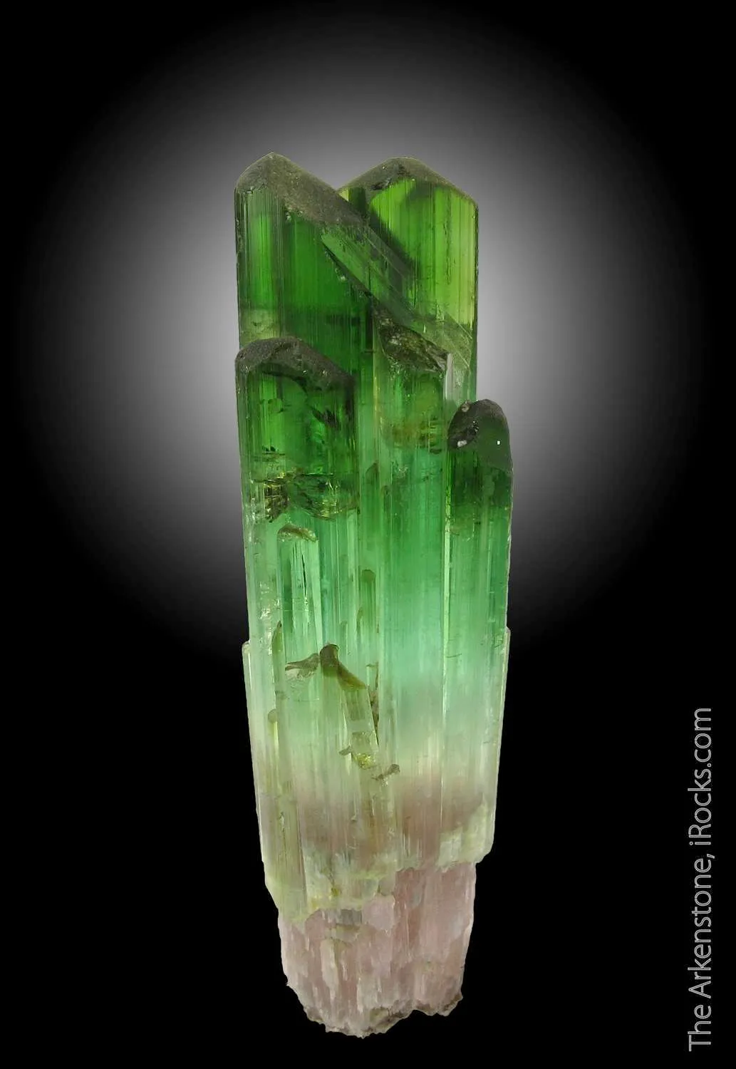 Elbaite Tourmaline - image 2