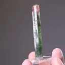 Elbaite Tourmaline - image 2